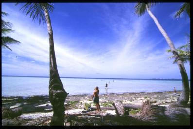 Polynesia22