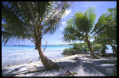 Polynesia23
