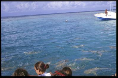 Polynesia26