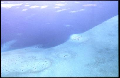 Palau05