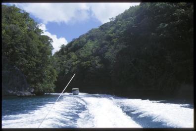 Palau14