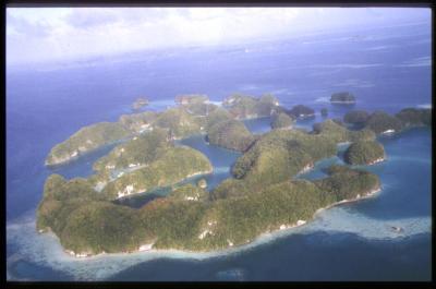 Palau19