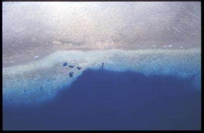 Palau20