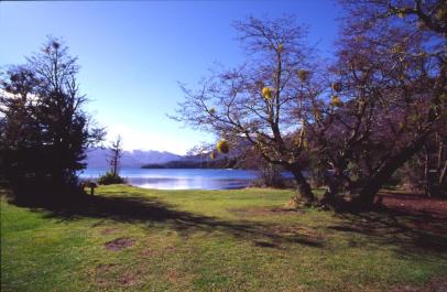Bariloche06