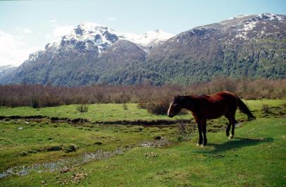 Bariloche12
