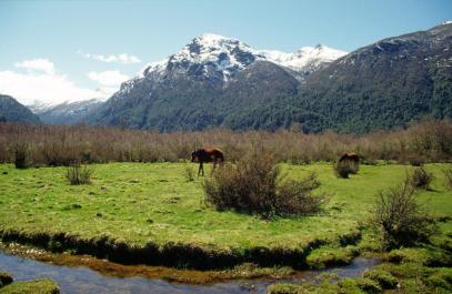 Bariloche13