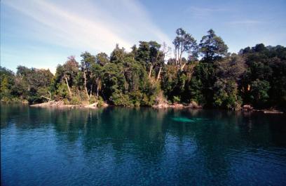 Bariloche31