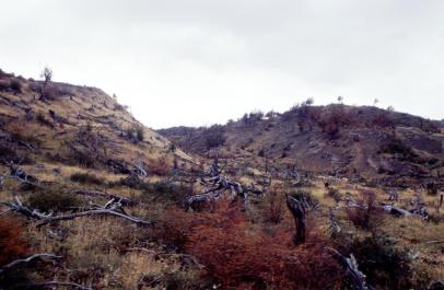 ElCafalate33