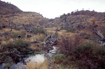 ElCafalate34