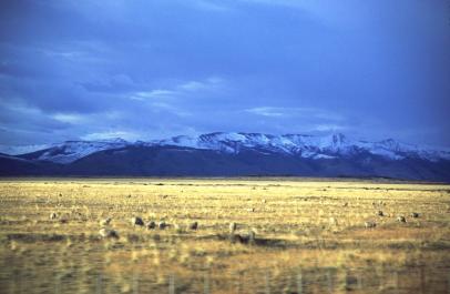 ElCafalate39