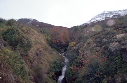 ElCafalate41