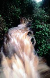 Iguazu07