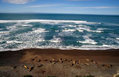 PuertoMadryn22