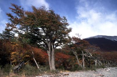 Ushuaia48