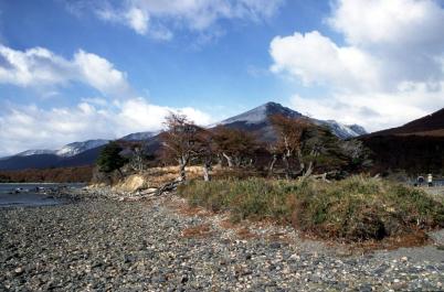 Ushuaia65