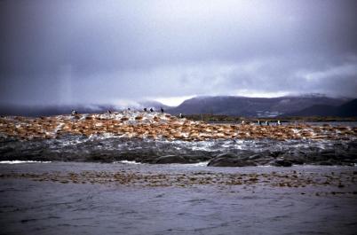 Ushuaia78