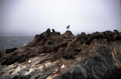 Ushuaia81