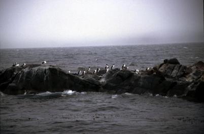 Ushuaia82