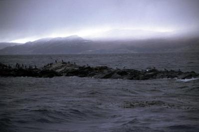 Ushuaia88