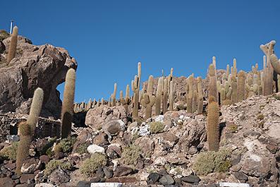 Uyuni08