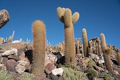Uyuni09