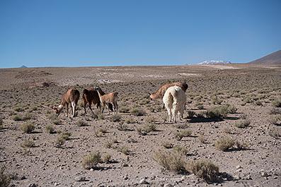 Uyuni22