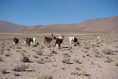 Uyuni23