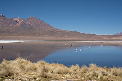 Uyuni24