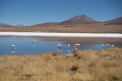 Uyuni25