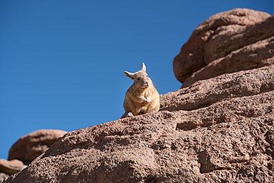 Uyuni31