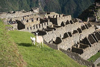 MachuPicchu07