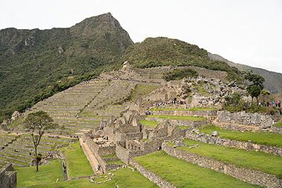 MachuPicchu14