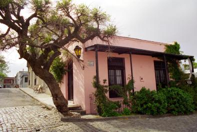 Colonia21