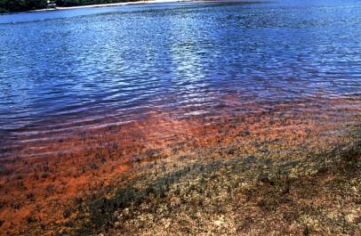Canaima23
