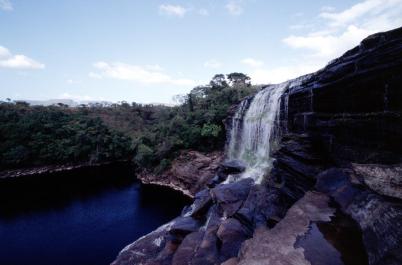 Canaima33