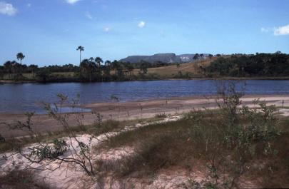 Canaima38