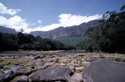 Canaima55