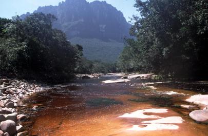 Canaima59