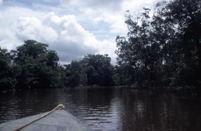 Orinoco04