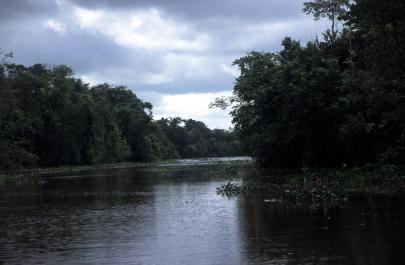 Orinoco05
