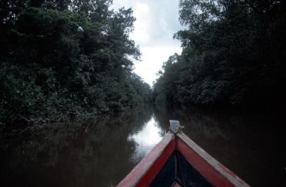 Orinoco16